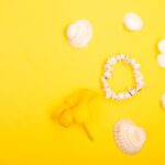 Reddybook Review: How the Innovative Platform Boosts Learning and Connects with 11xplay Integration